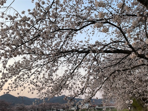 f:id:HappyGreen:20230404184138j:image f:id:HappyGreen:20230404184138j:image
