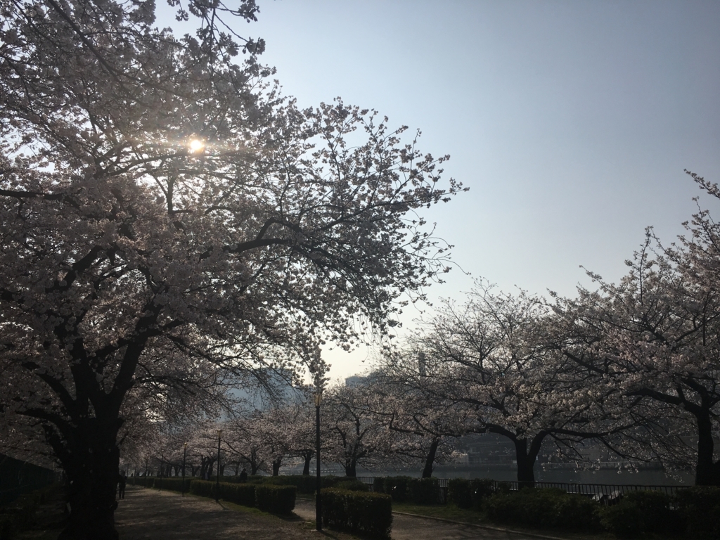 f:id:Happy_Bridget:20180328221606j:plain f:id:Happy_Bridget:20180328221606j:plain