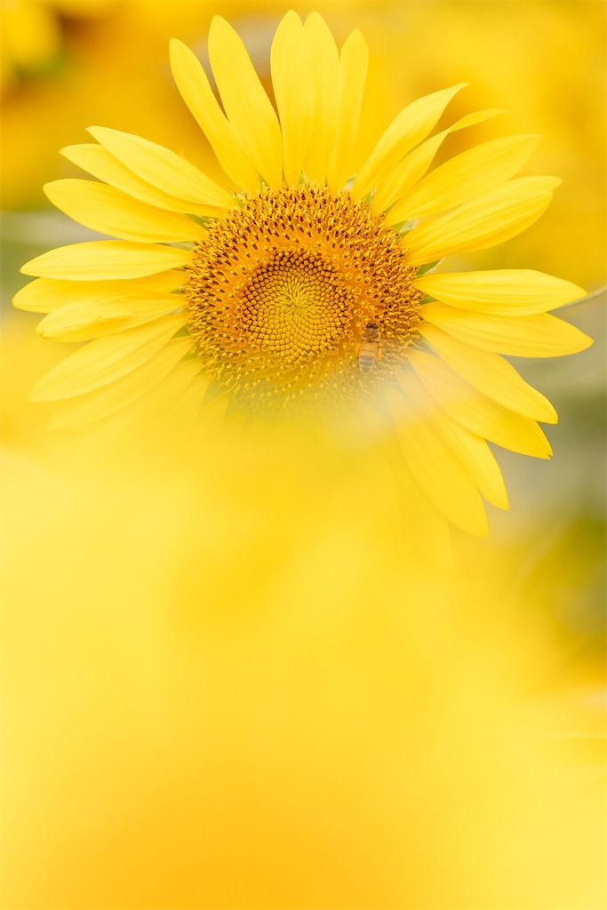 f:id:HarNey_KH17:20230223225632j:image
