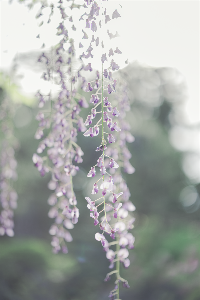 f:id:HarNey_KH17:20230927170620p:image