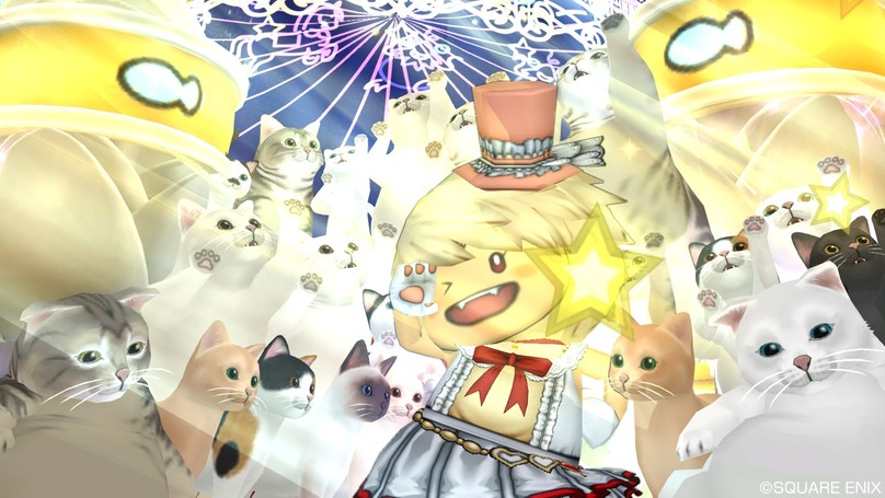 f:id:Haresa:20190303090348j:plain f:id:Haresa:20190303090348j:plain