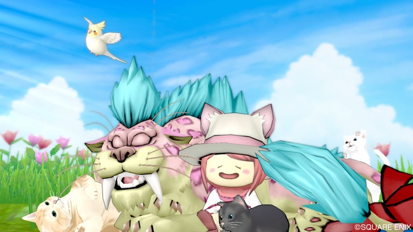 f:id:Haresa:20190303101623j:plain f:id:Haresa:20190303101623j:plain
