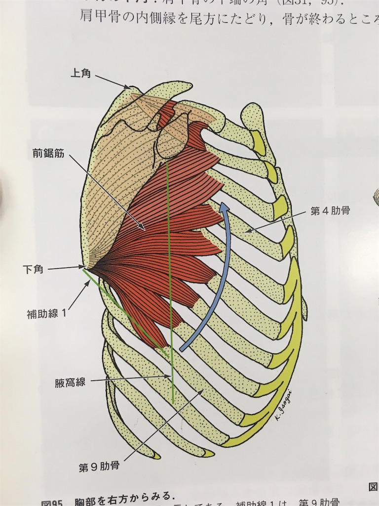 f:id:Harinabis:20190713104541j:image f:id:Harinabis:20190713104541j:image