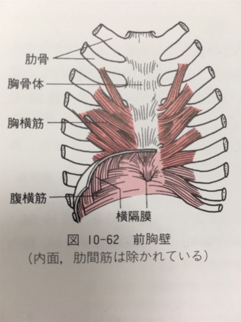 f:id:Harinabis:20190713105258j:image f:id:Harinabis:20190713105258j:image