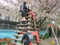 20130409130415