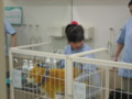 20130429100838