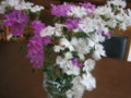 20130501100340
