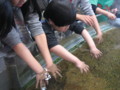 20130503120241