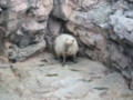 20130503170145
