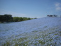 20130504100332
