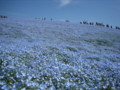 20130504100426
