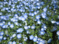 20130504100436