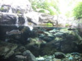20130602154851