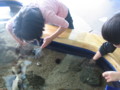 20130602155532