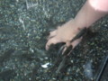 20130602155731