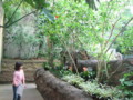 20130602161718
