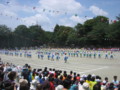 20130608113942