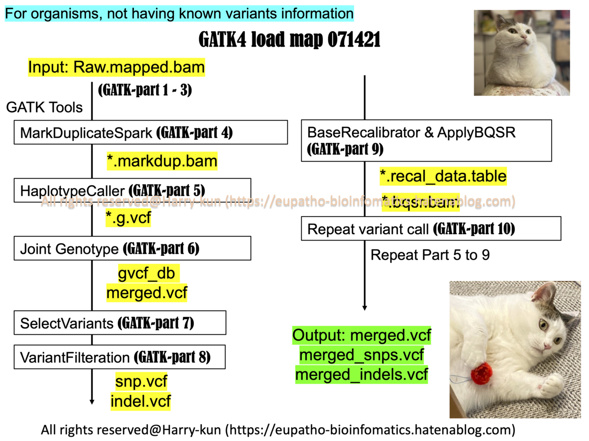 f:id:Harry-kun:20210826101748p:plain