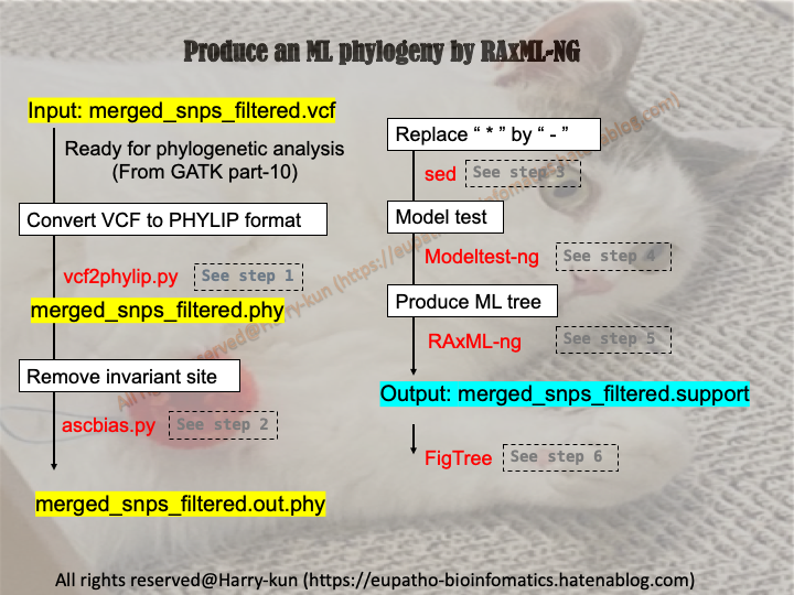f:id:Harry-kun:20210830043246p:plain