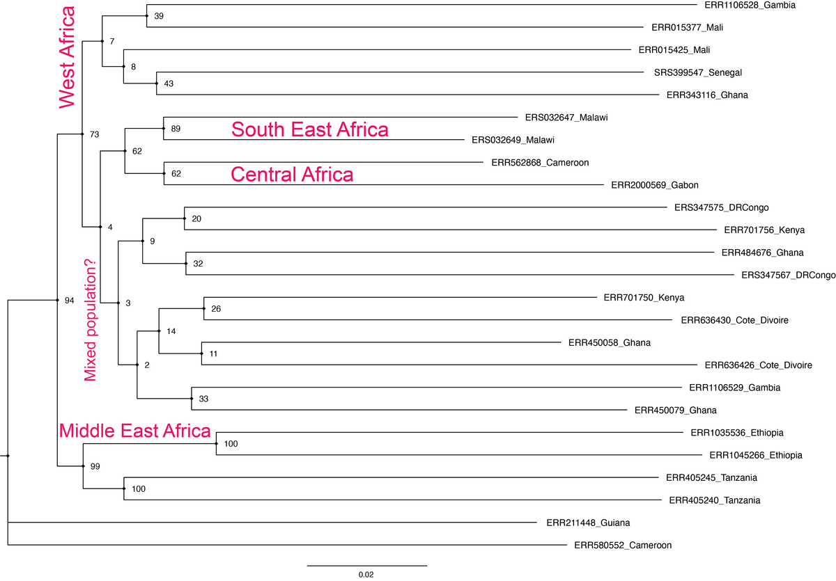 f:id:Harry-kun:20210904104339p:plain