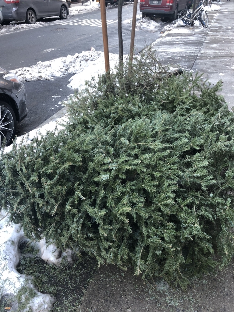 f:id:Harry_Harry:20180122063839j:plain f:id:Harry_Harry:20180122063839j:plain