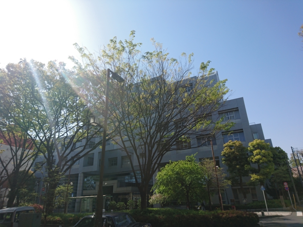 f:id:Haruaking:20171119213147j:plain
