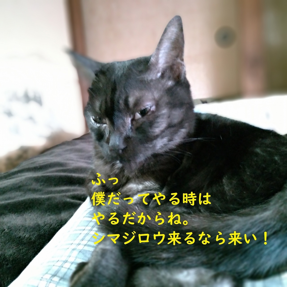 f:id:Harufuku:20190403181048j:plain f:id:Harufuku:20190403181048j:plain