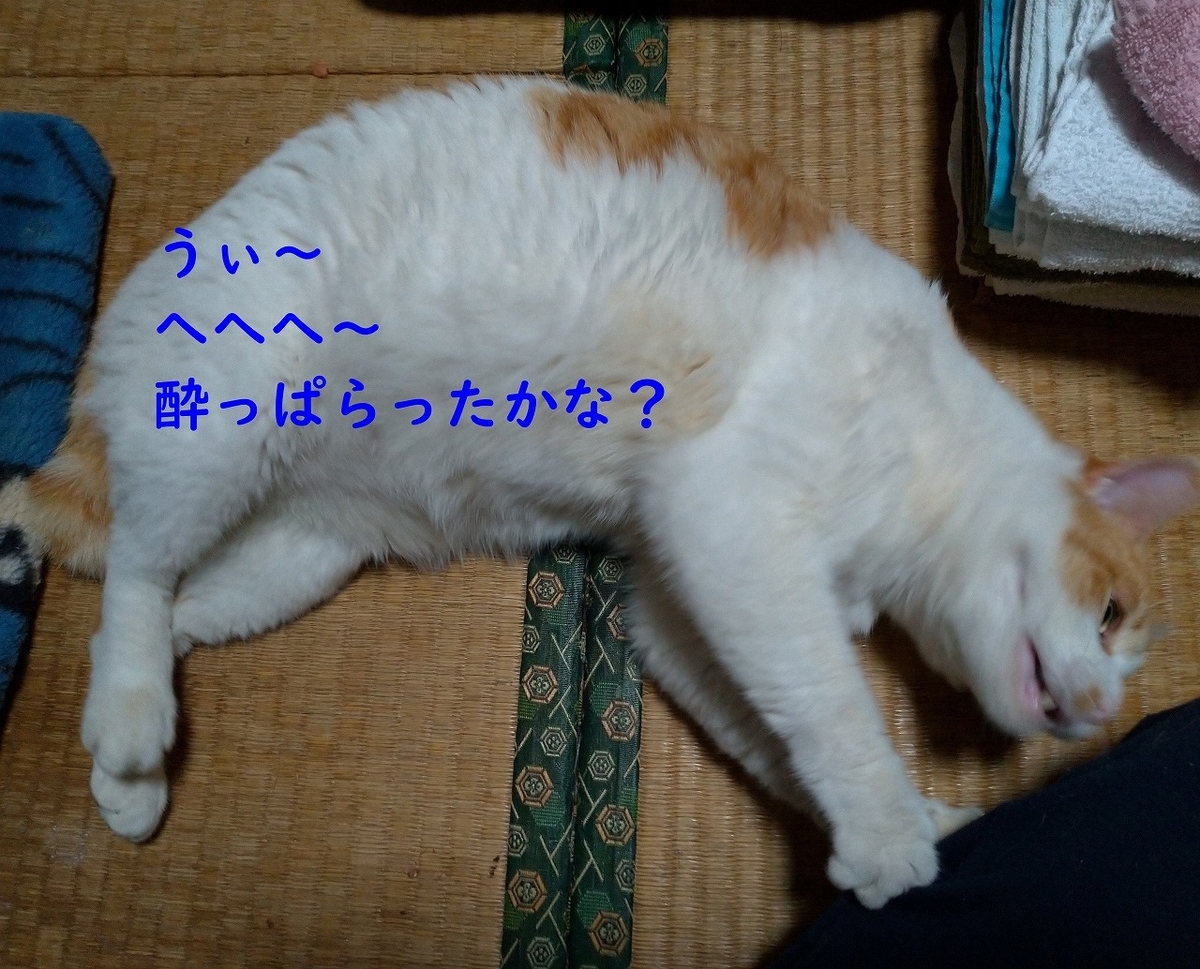 f:id:Harufuku:20190403181838j:plain f:id:Harufuku:20190403181838j:plain