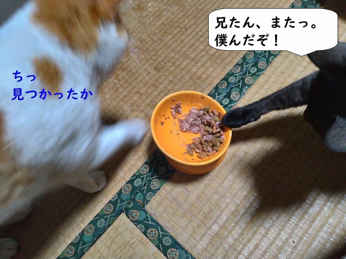 f:id:Harufuku:20190415173843j:plain