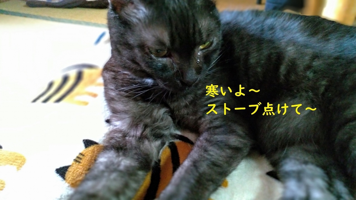 f:id:Harufuku:20190415174743j:plain