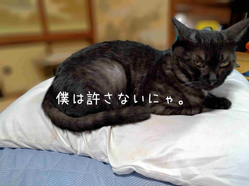 f:id:Harufuku:20190902172848j:plain