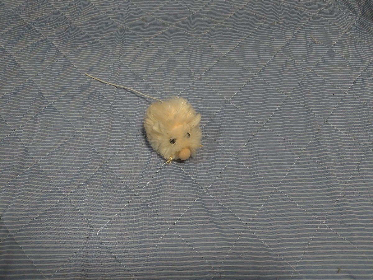 f:id:Harufuku:20190904112327j:plain