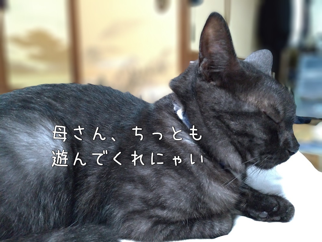 f:id:Harufuku:20190904112400j:plain