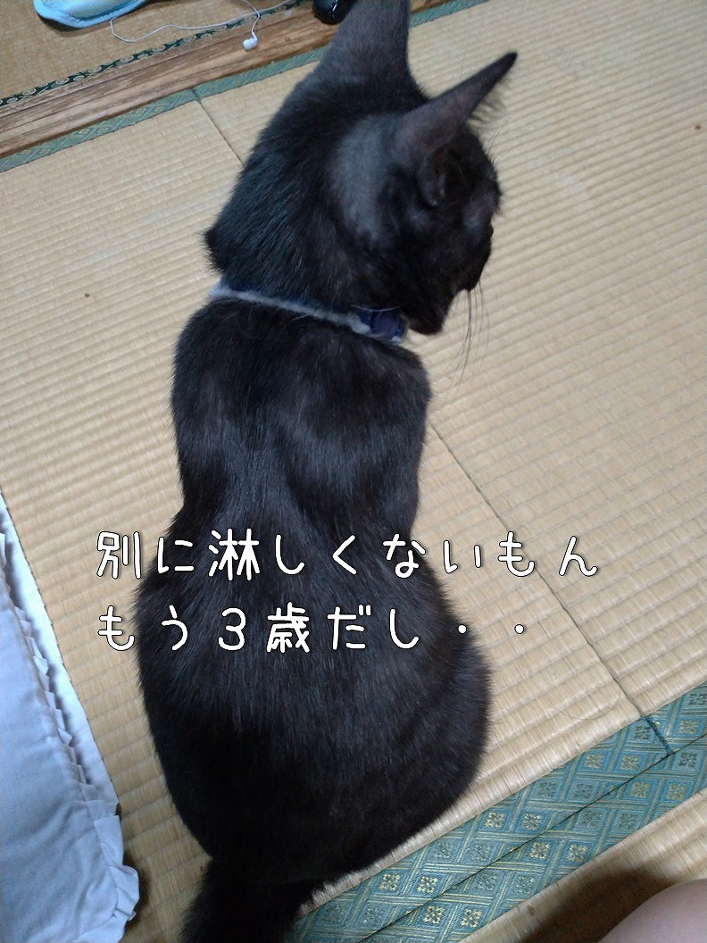 f:id:Harufuku:20190906092844j:plain