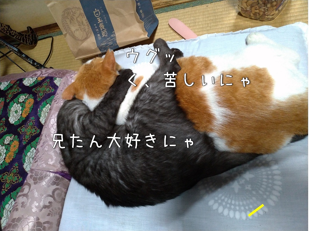 f:id:Harufuku:20190906173252j:plain f:id:Harufuku:20190906173252j:plain