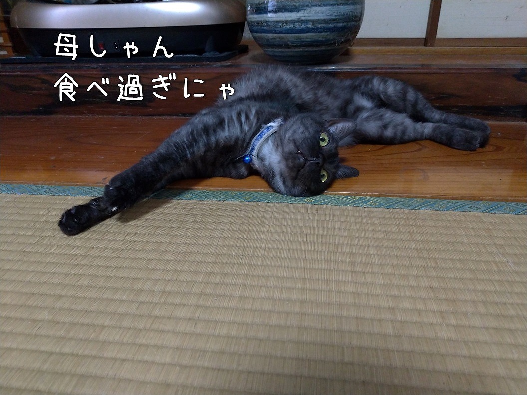 f:id:Harufuku:20190910101613j:plain