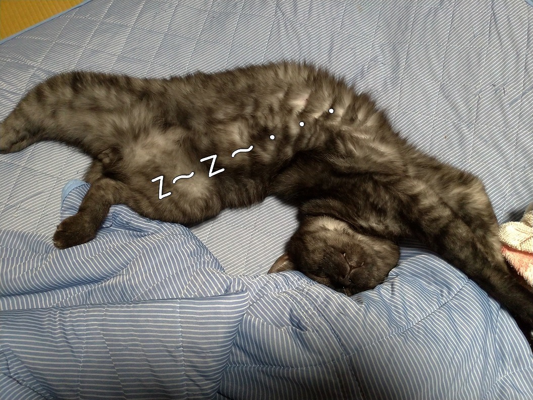 f:id:Harufuku:20190918132508j:plain f:id:Harufuku:20190918132508j:plain
