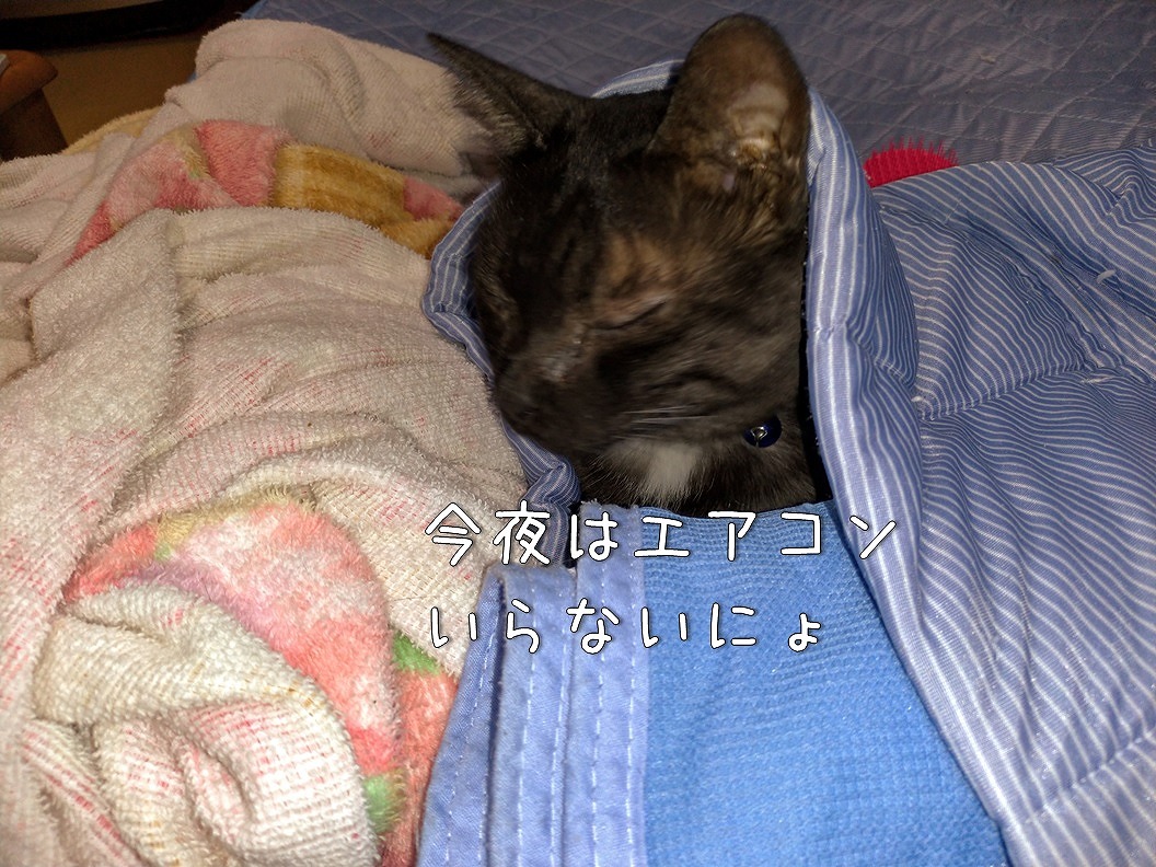 f:id:Harufuku:20190918132550j:plain f:id:Harufuku:20190918132550j:plain
