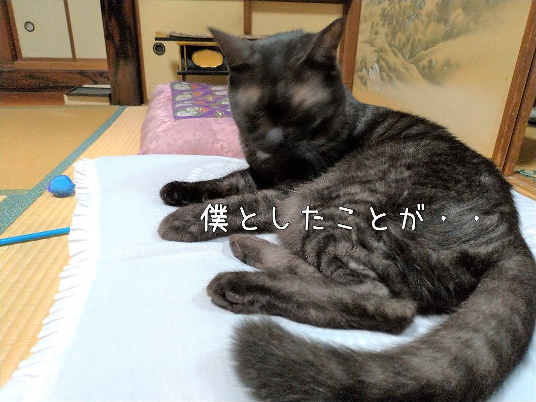 f:id:Harufuku:20191019195004j:plain f:id:Harufuku:20191019195004j:plain