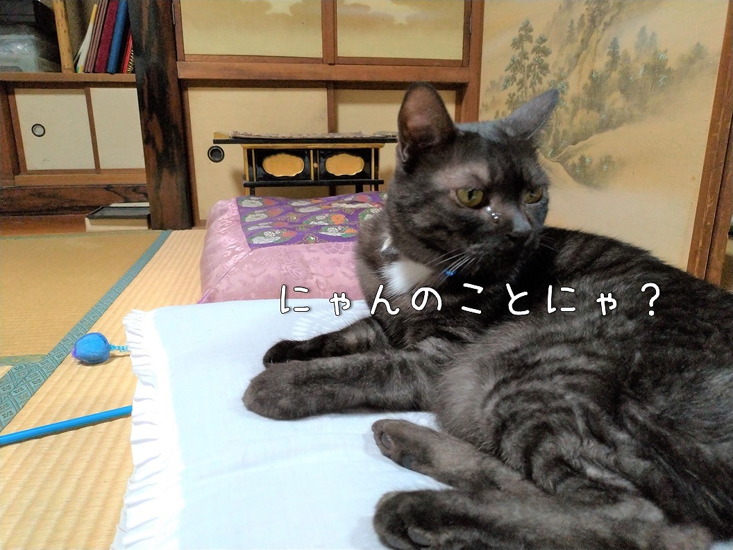 f:id:Harufuku:20191019195043j:plain f:id:Harufuku:20191019195043j:plain