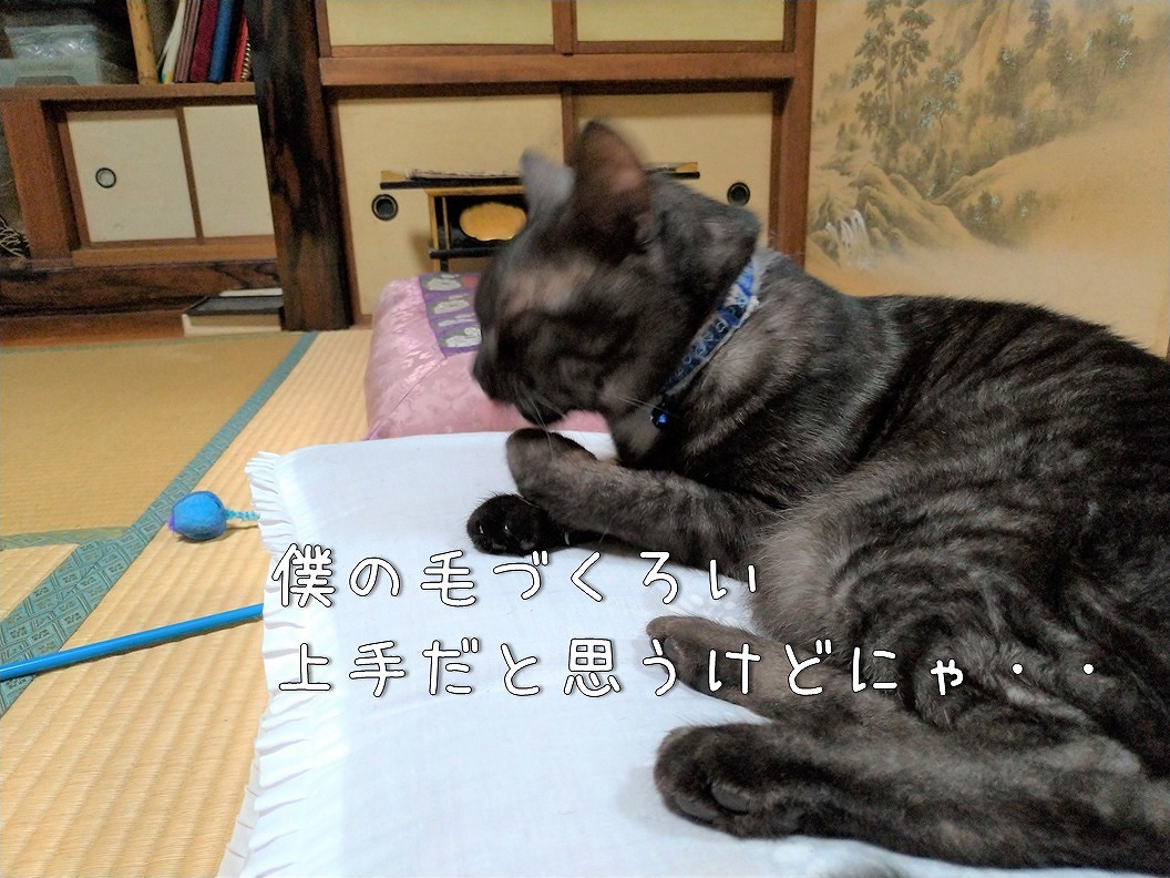 f:id:Harufuku:20191021192837j:plain