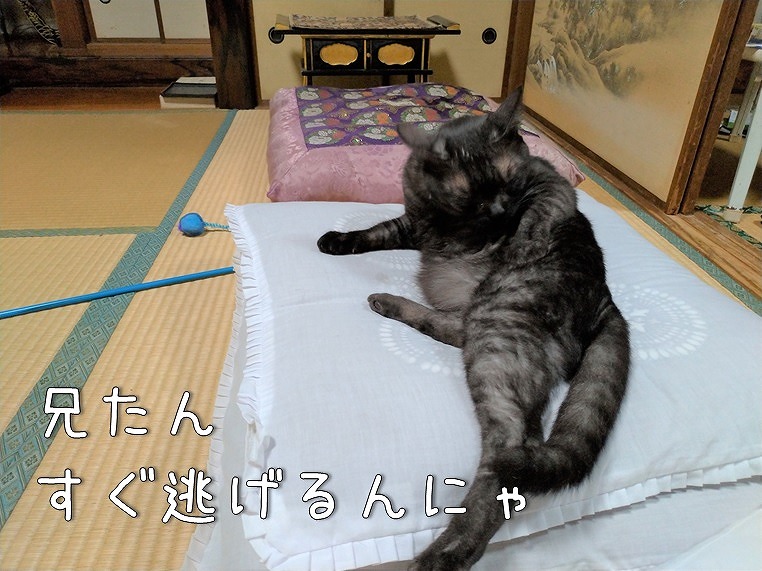 f:id:Harufuku:20191021192951j:plain