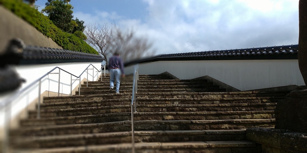 f:id:Harufuku:20191030134330j:plain