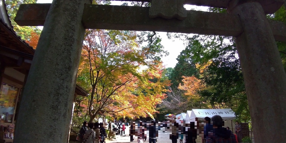 f:id:Harufuku:20191118111938j:plain