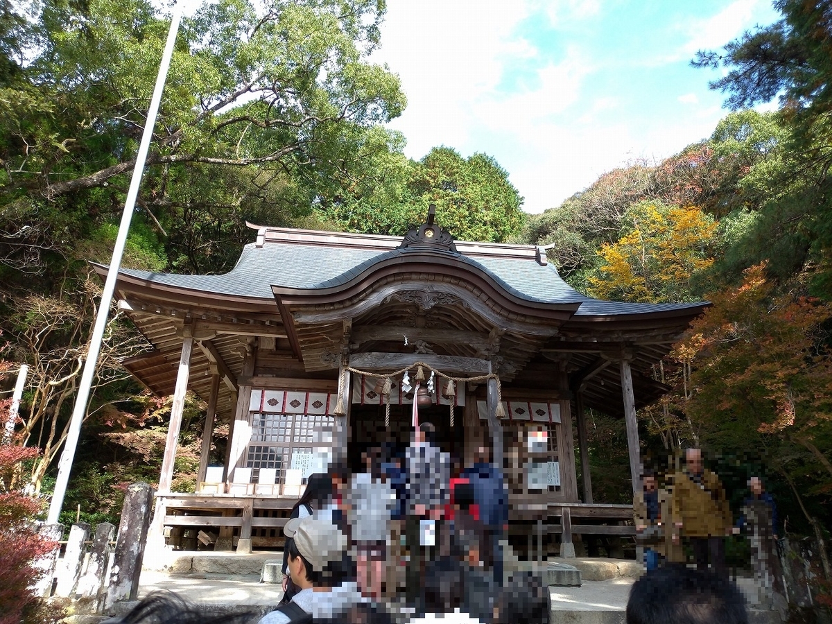 f:id:Harufuku:20191118112430j:plain