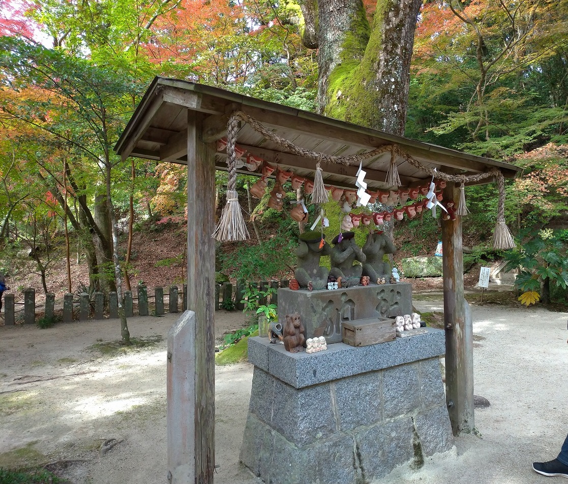 f:id:Harufuku:20191118113624j:plain
