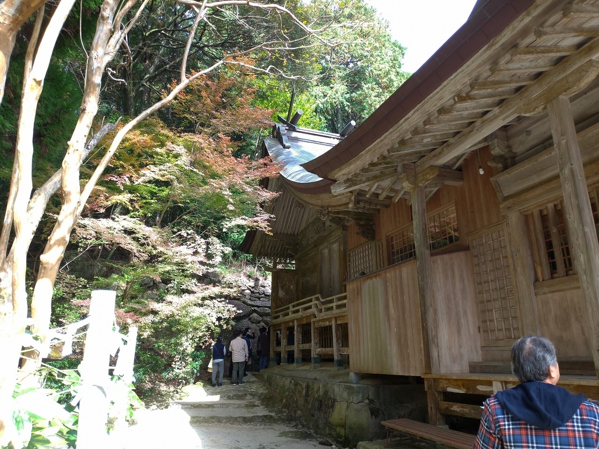 f:id:Harufuku:20191118113902j:plain