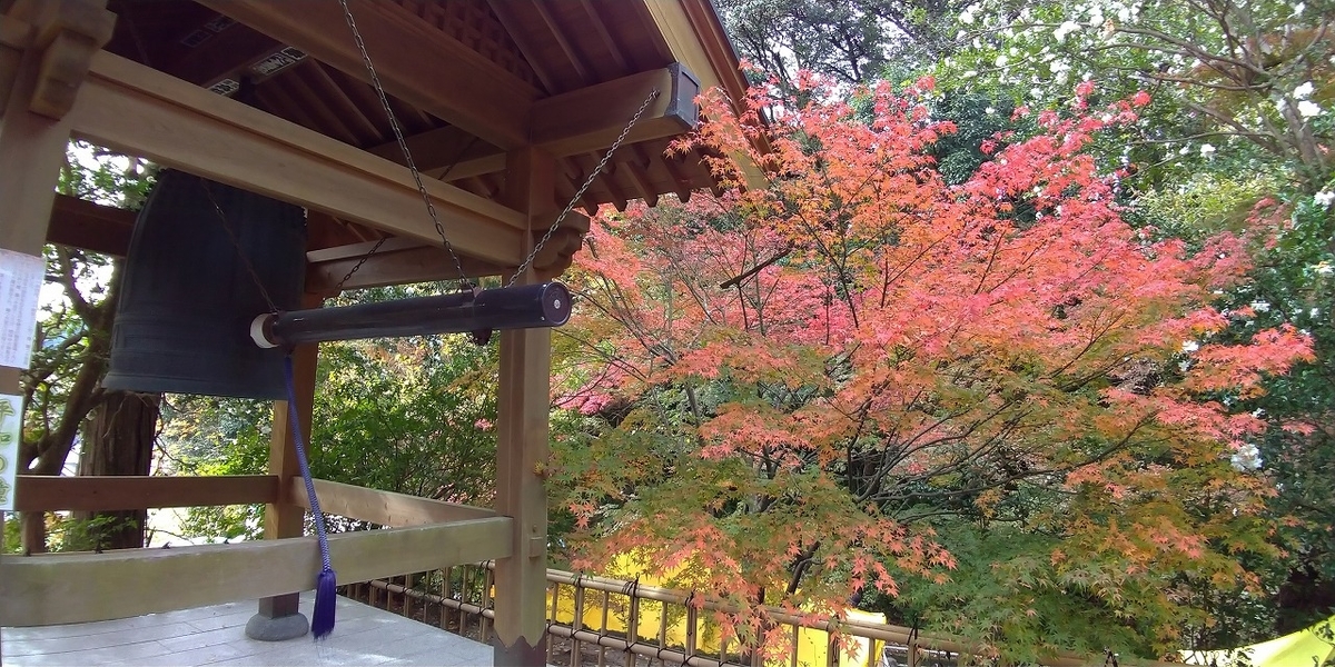 f:id:Harufuku:20191119113357j:plain