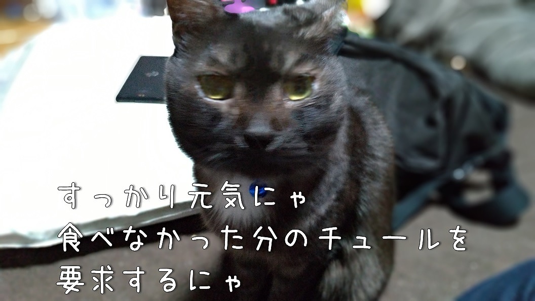 f:id:Harufuku:20191119114020j:plain