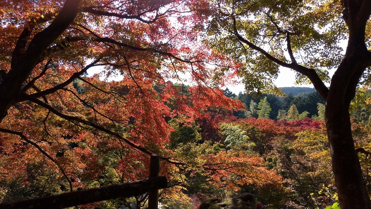 f:id:Harufuku:20191123214004j:plain